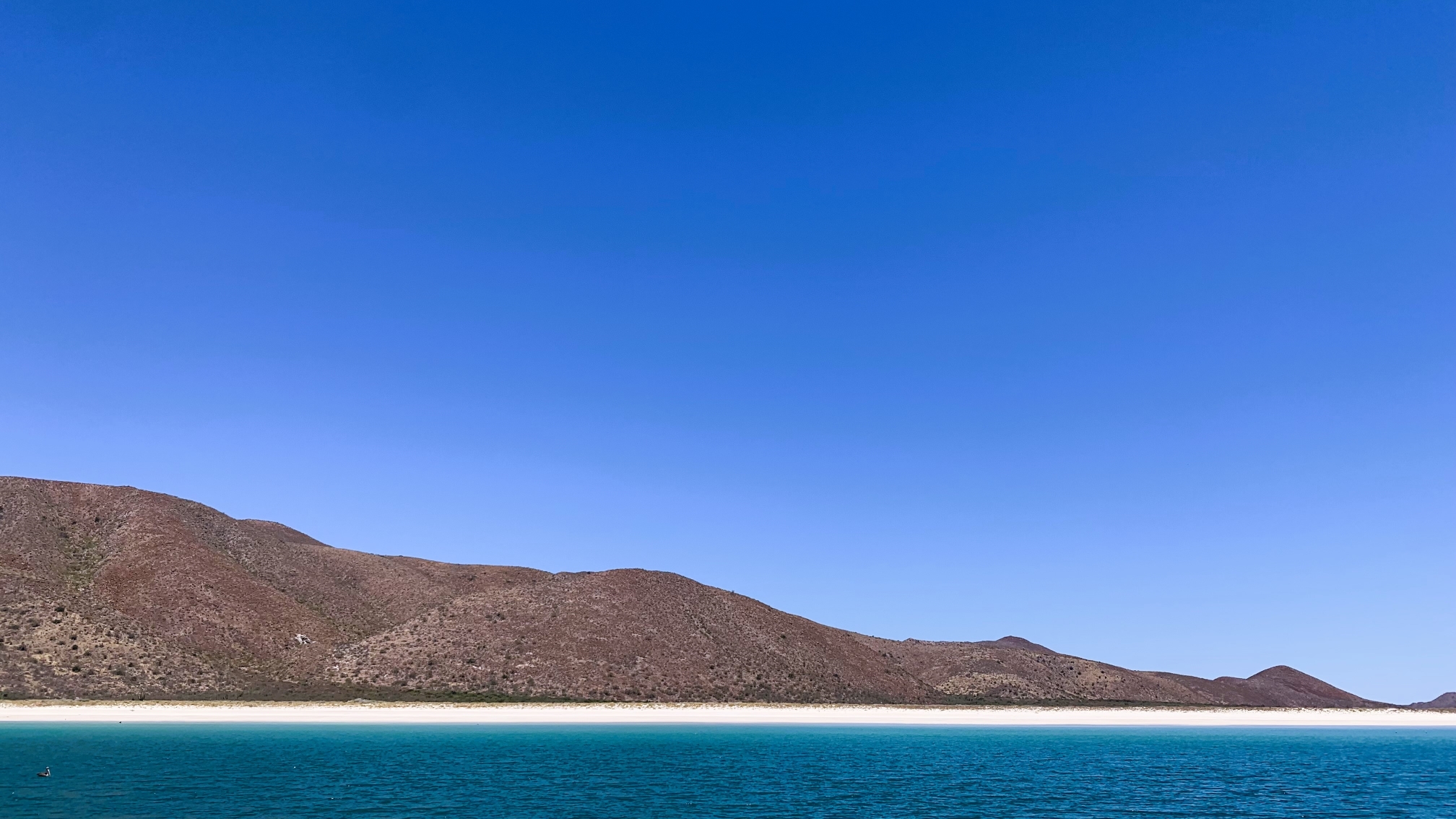 Bahia Salinas - Isla Carmen