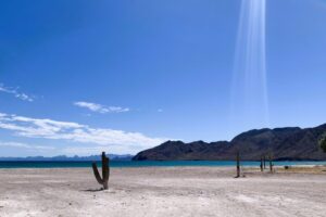 Bahia Salina beach at Isla Carmen