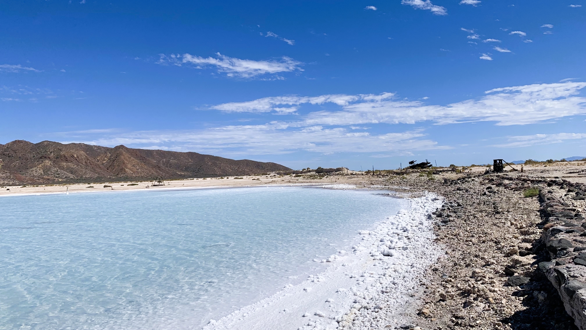 Salt Marsh in Bahia Salinas - Isla Carmen