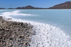 Salt marsh at Bahia Salinas - Isla Carmen