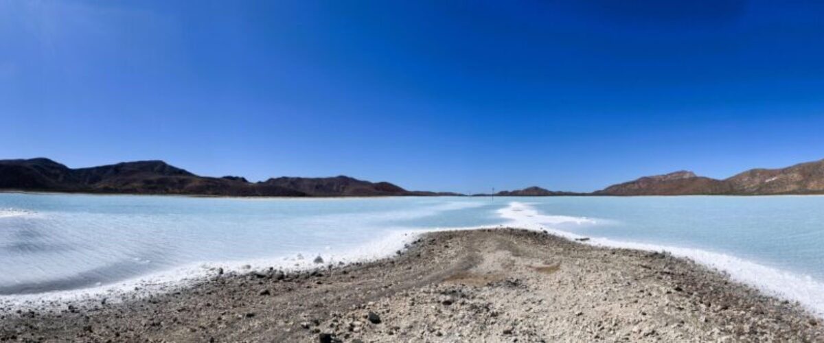 Salt Marsh at Bahia Salinas - Isla Carmen