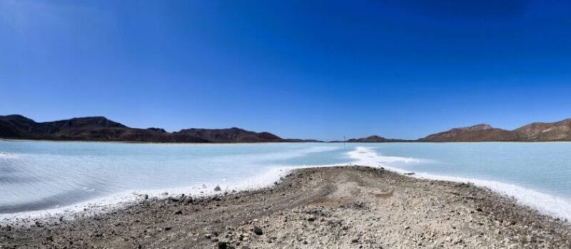 Salt Marsh at Bahia Salinas - Isla Carmen