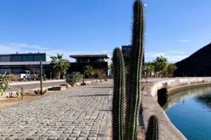 Marina Puerto Escondido