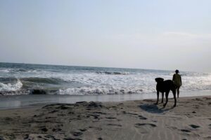 Beach at Bahia Del Sol