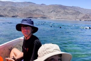 Dinghy ride to to the sea lions at punta soldado