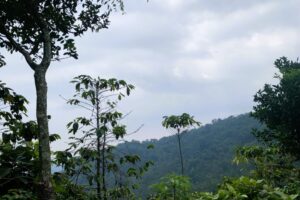 Mountains in Chiapas