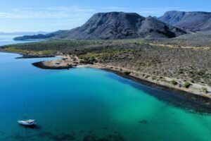 Aerial view of Isla El Requeson