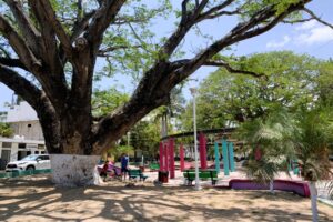 Park in La Cruz