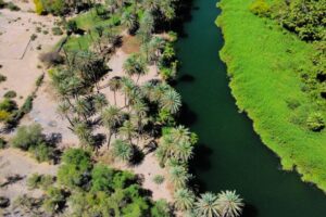 The Rio behind the Mission in Mulege