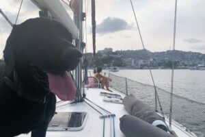 Chihiro in Acapulco Bay