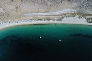 Aerial view of Alcatraz Cove