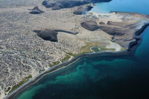 Aerial view of Alcatraz Cove