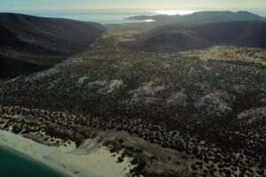 Aerial view of Bahia Bonanza - Isla Espiritu Santo