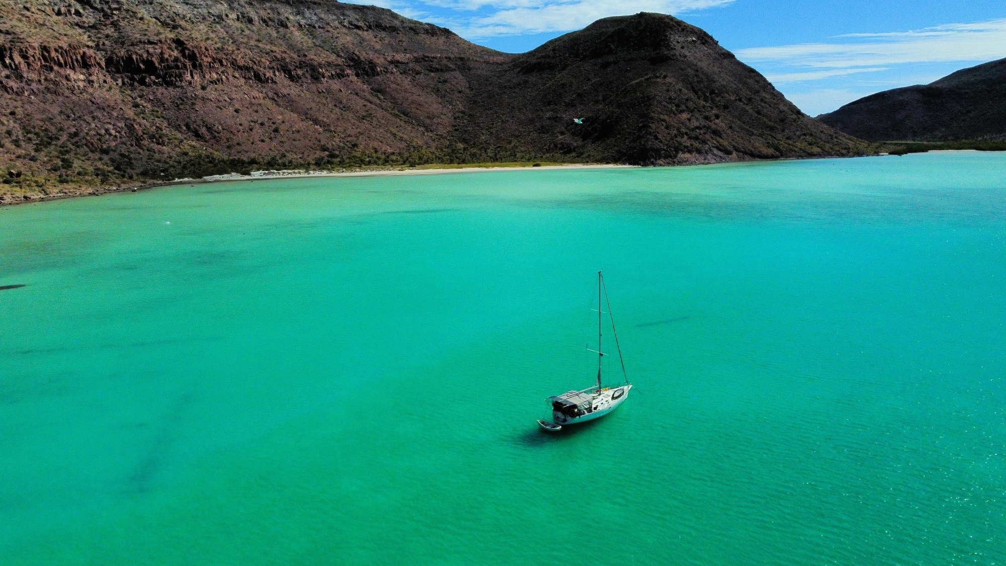 Bahia Ensenada El Cardonal - Isla Espiritu Santo