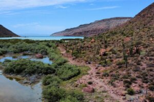 Bahia Ensenada - Isla Espiritu Santo