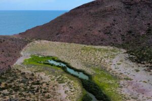 Bahia Ensenada - Isla Espiritu Santo