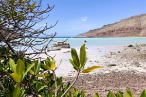 Bahia Ensenada - Isla Espiritu Santo