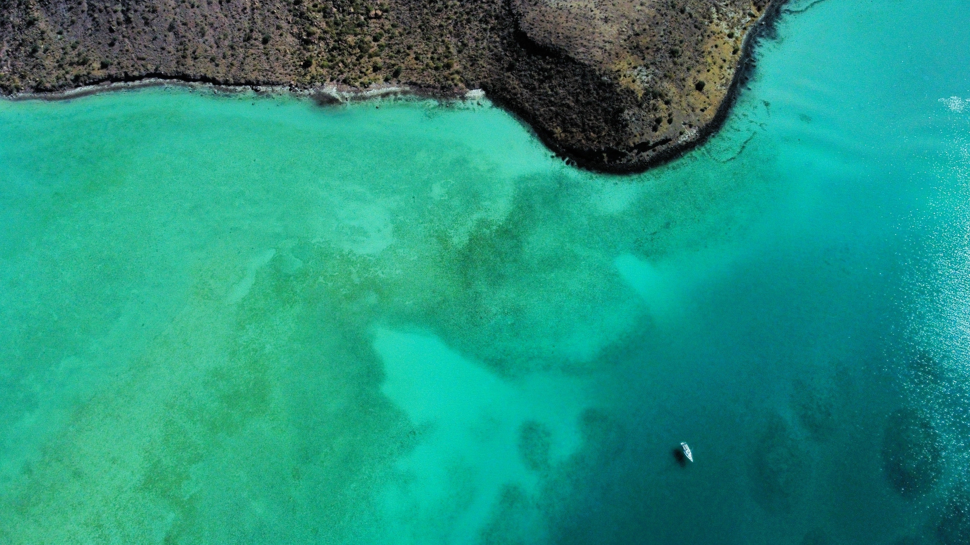 Caleta Partida - Isla Espiritu Santo