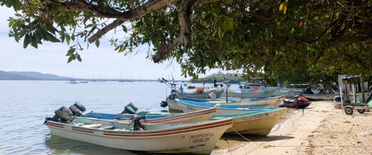 Barra de Navidad - Featured