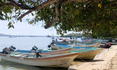 Barra de Navidad - Featured Barra de Navidad - Featured