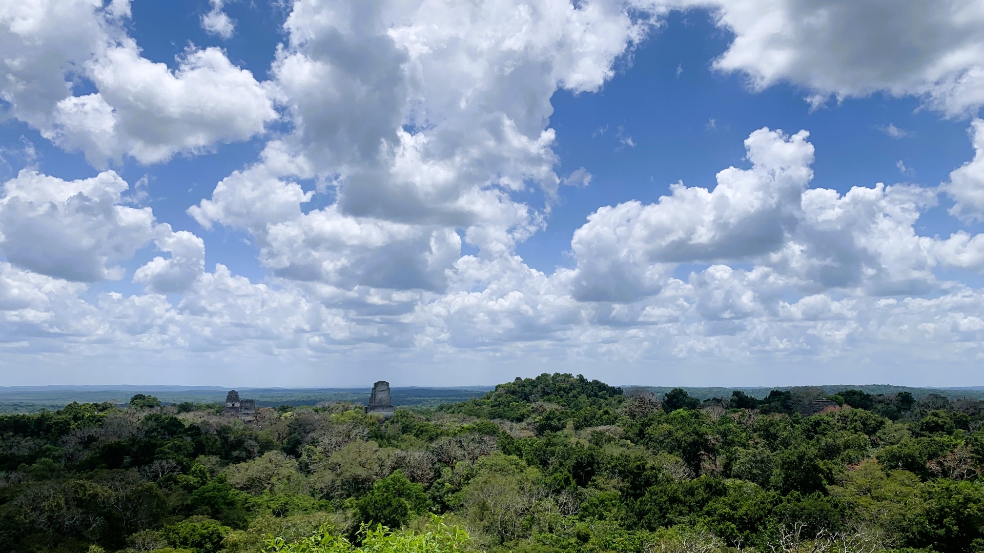 Guatemala - Tikal - 006 Guatemala - Tikal - 006