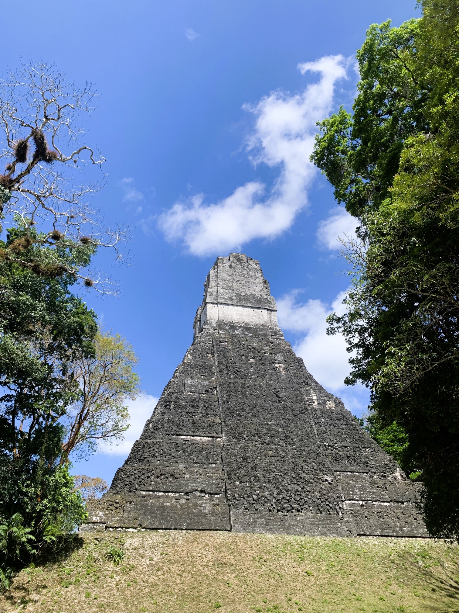 Guatemala - Tikal - 009 Guatemala - Tikal - 009