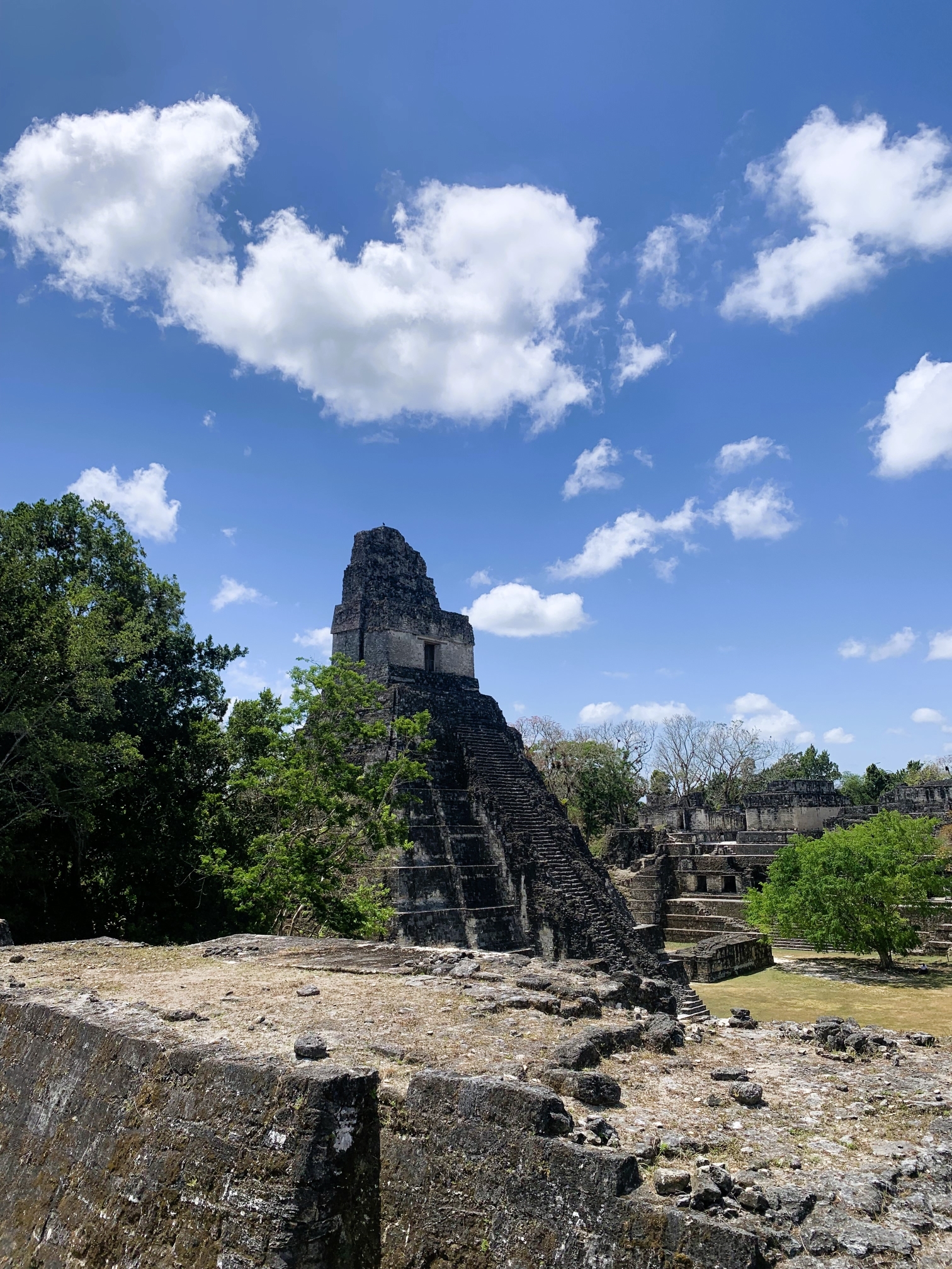Guatemala - Tikal - 016 Guatemala - Tikal - 016