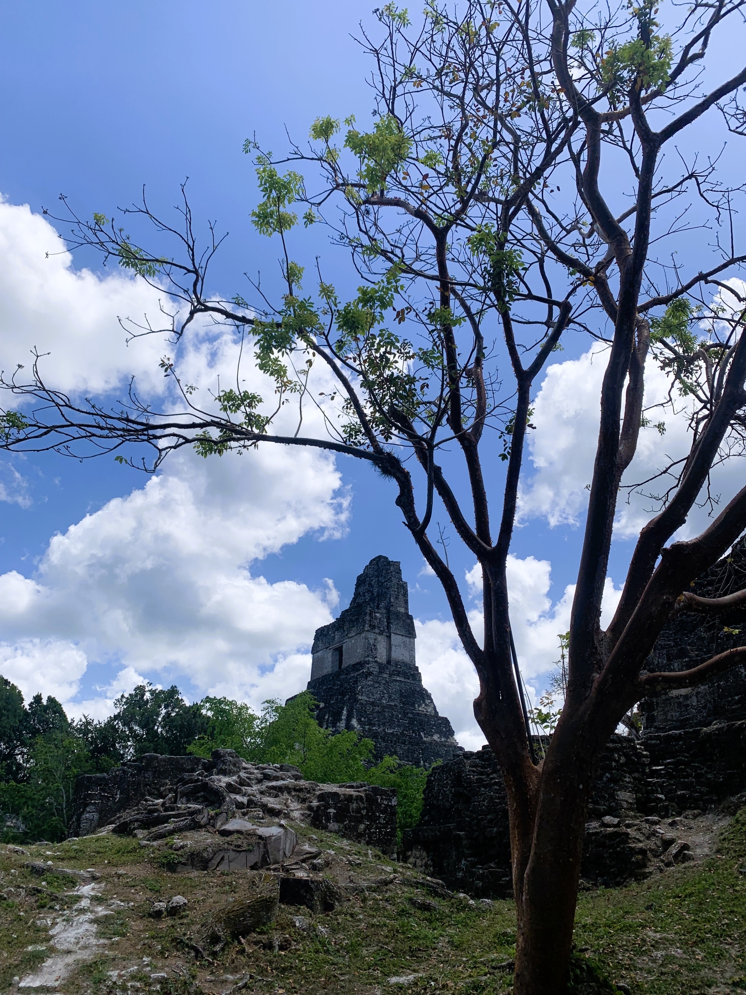 Guatemala - Tikal - 022 Guatemala - Tikal - 022