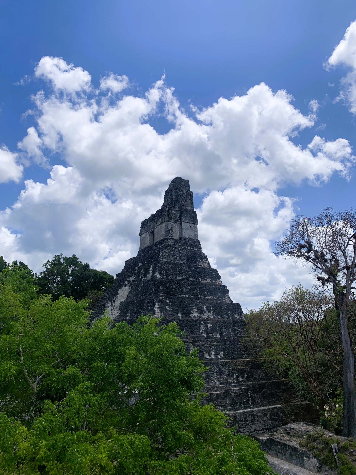 Guatemala - Tikal - 025 Guatemala - Tikal - 025