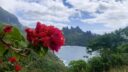 Nuku-Hiva - Taiohae - 011