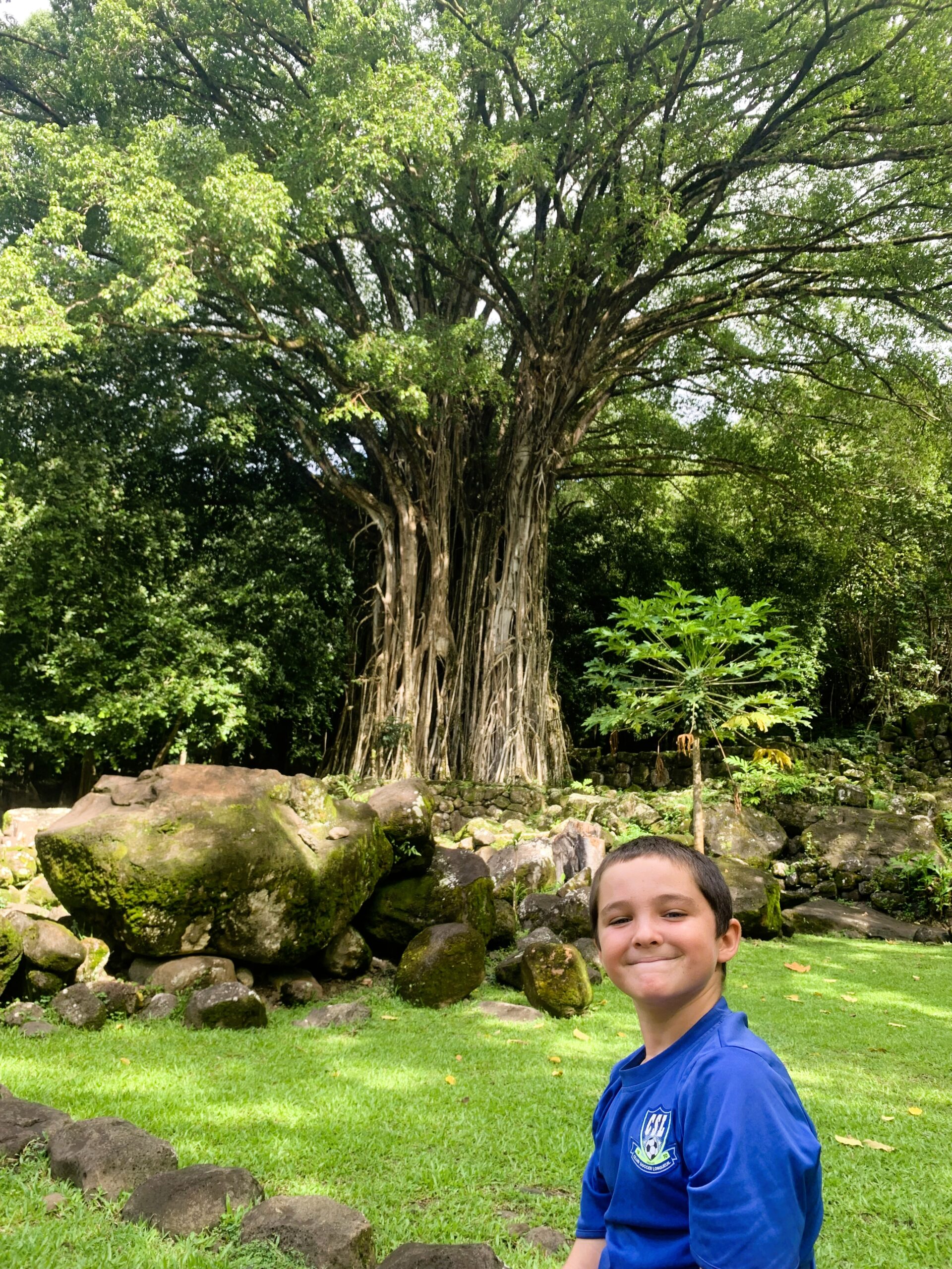 Paul in front of a Banyan, 500 years old sacred tree